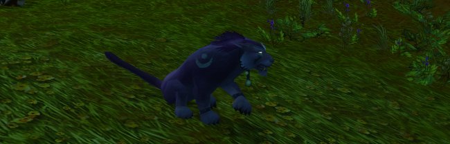 Feral Druid Art Image