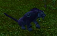 Feral Druid Art Image