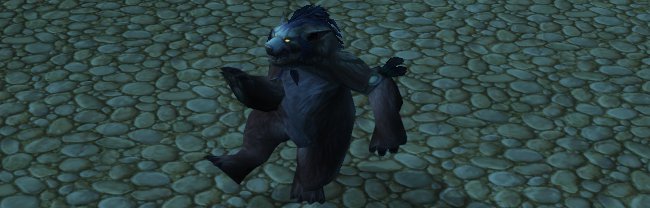 Feral Druid Art Image