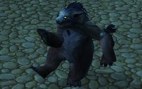 Feral Druid Art Image