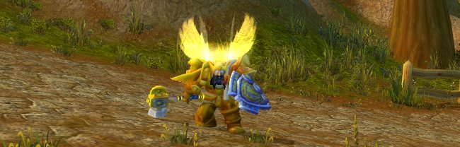 Protection Paladin Art Image