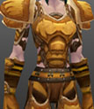 The Adventurer's Set