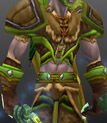 Archer's Set