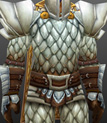 The Champion's Set