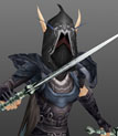 Dark Ranger I