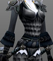 The Ebonhold Set