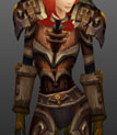 Ahn'Kahar Blood Hunter's Battlegear Copy