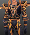 Stormshroud Armor