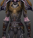 The Wastewalker Set