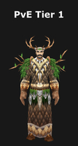 Druid PvE Tier 1 Set