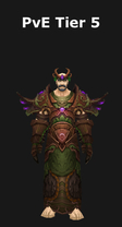 Druid PvE Tier 5 Set