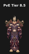 Druid PvE Tier 8.5 Set