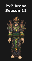 Druid PvP Arena Season 11 Set