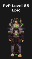 Druid PvP Level 85 Epic Set