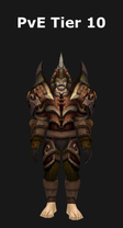 Hunter PvE Tier 10 Set