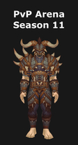 Hunter PvP Arena Season 11 Set