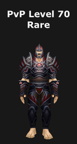 Hunter PvP Level 70 Rare Set