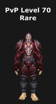 Paladin PvP Level 70 Rare Set