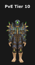 Rogue PvE Tier 10 Set