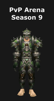 Warrior PvP Arena Season 9 Set