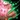 Savage Combat Icon