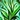 Wild Growth Icon