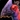 Swift Lovebird Icon