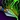 Noxious Stings Icon