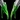 Deadly Poison Icon