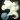 Choking Smoke Bomb Icon