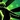 Energetic Recovery Icon