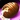 Noblegarden Chocolate Icon