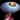 Spore Cloud Icon