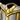 Elegant Dress Icon