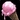 Bad Example Icon