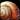 Snail Shell Icon