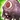 Sleepy Willy Icon