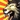Stampeding Roar Icon