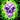 Mind-numbing Poison Icon