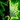Regrowth Icon