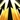 Inquisition Icon