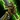 Initiative Icon