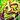Pandemic Icon