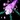 Bind Elemental Icon